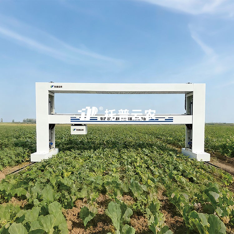 龍門式高通量表型采集分析平臺(tái)（地軌式）